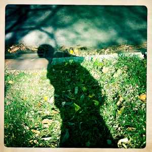 depixon同人动画合集密码
