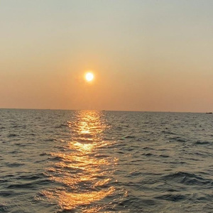 depixon同人动画合集密码
